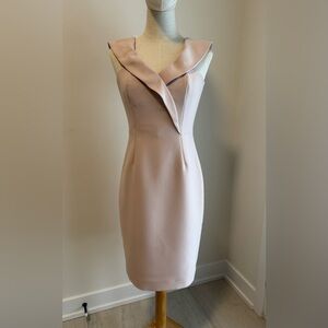 Reiss Strapless Blush Dress
(Itemโ #39)
